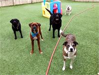 daycare pic 20 - ball time